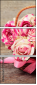 71786223