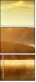 71944814