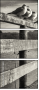 72072664