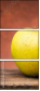 72103606