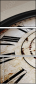 72534013