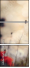 72894473