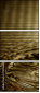 73056406