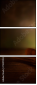 73417814