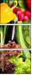 74438886