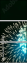 74444350