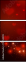 74953593
