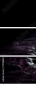 75116063