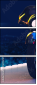 75170787