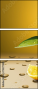 75277483