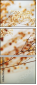 75283779