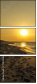 75344366