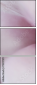 75397074