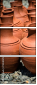 75440378