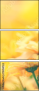 75458724