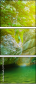 75460842