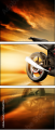 75568726