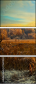 75611043