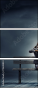 75638844