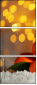 75658632