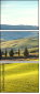 75685044