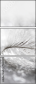 75689108