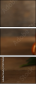 75721654