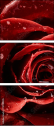 75798905