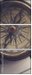 75916775