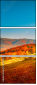 76027579
