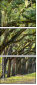 76209403