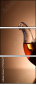 77315677