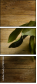 78022660