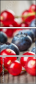 78244619