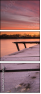 79025069