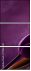79035921