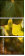 816736587