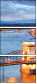 81906006