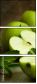 83345203