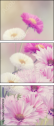 84071220