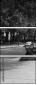 8421281