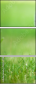 85494718