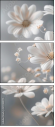 877089715
