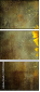 904593686