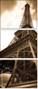 9077030