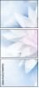 91681750