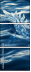 923264611