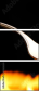 9303039