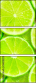 96318225