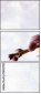 96427255